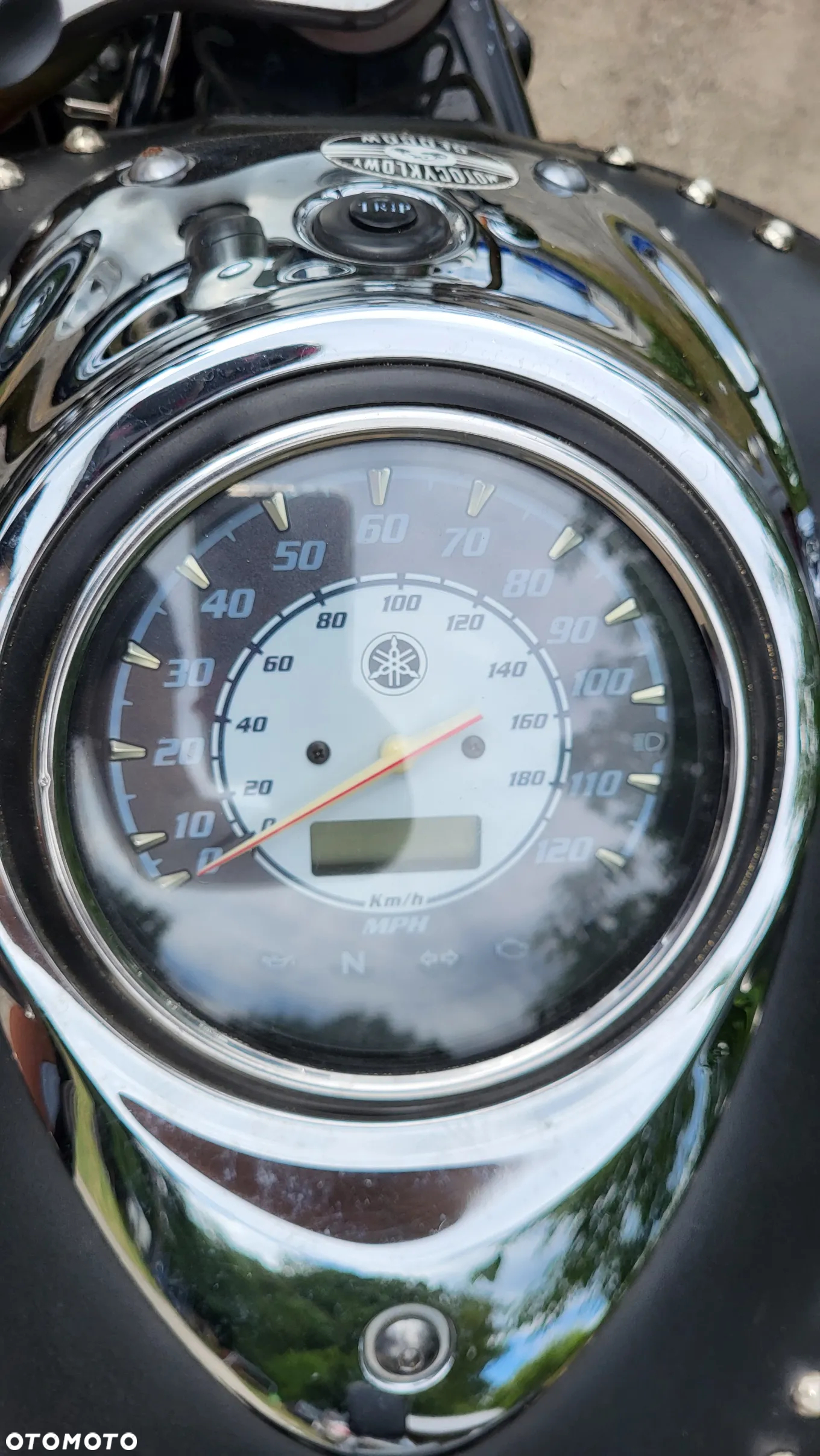 Yamaha Drag Star - 6