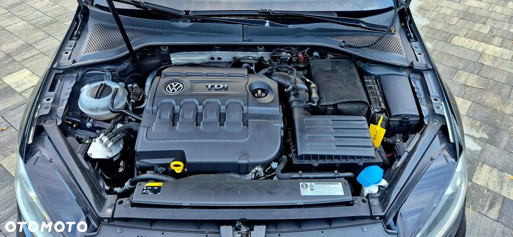 Volkswagen Golf - 33