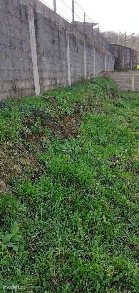Terreno urbano nas Caldas de S. Jorge - Grande imagem: 3/15