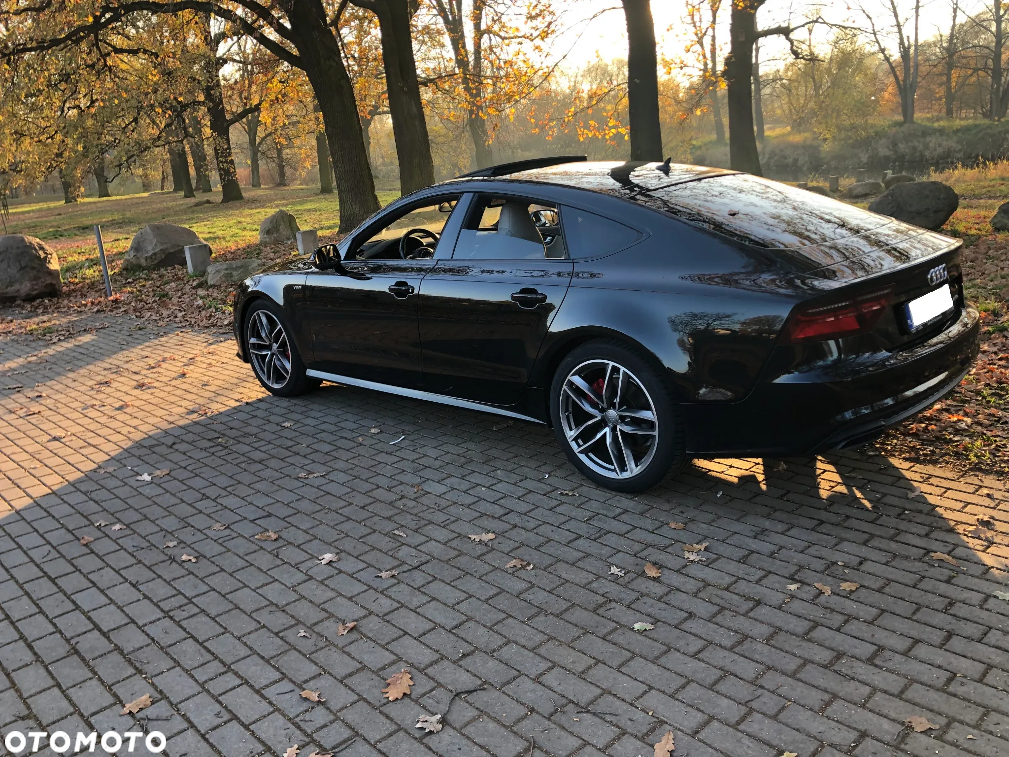 Audi A7 Sportback 3.0 TDI Quattro Competition Tiptr - 2