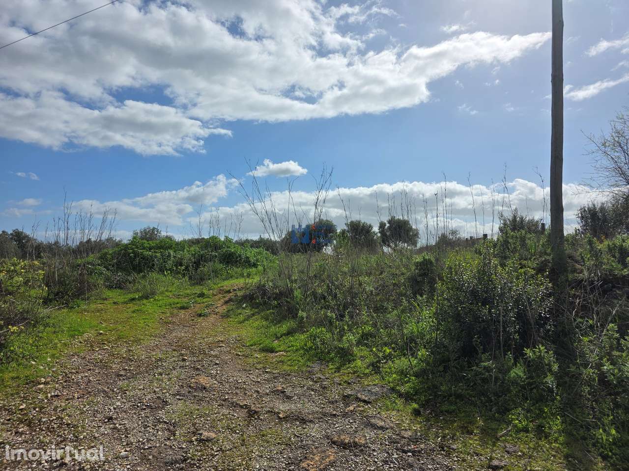 Terreno em Zibreira, Torres Novas - Grande imagem: 2/22