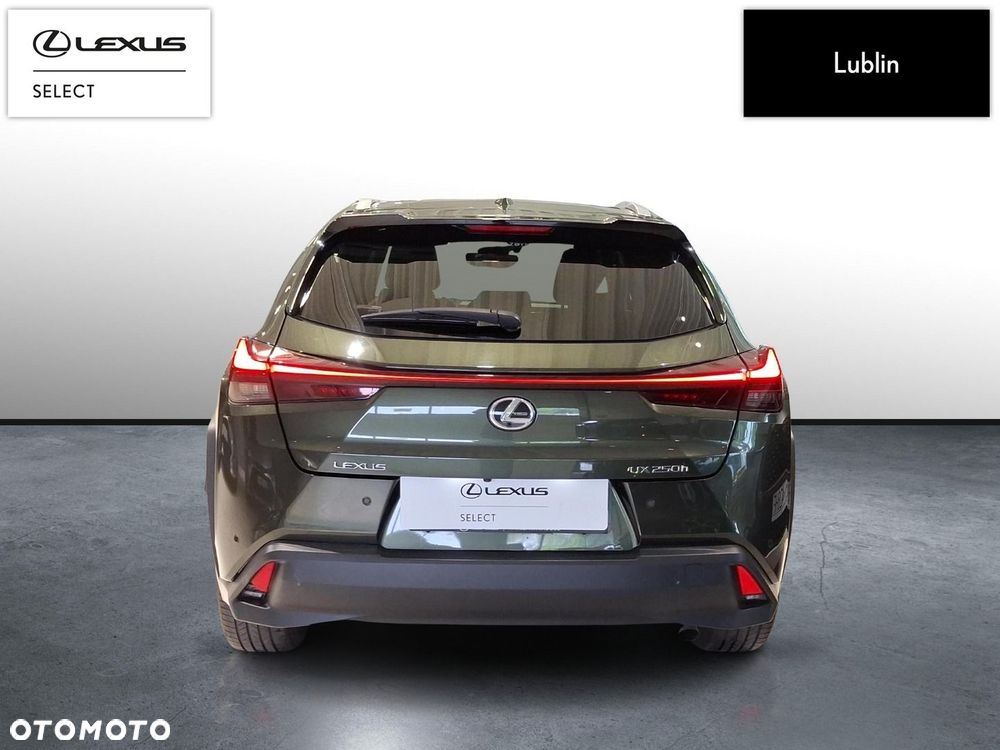 Lexus UX 250h GPF Business 2WD - 4