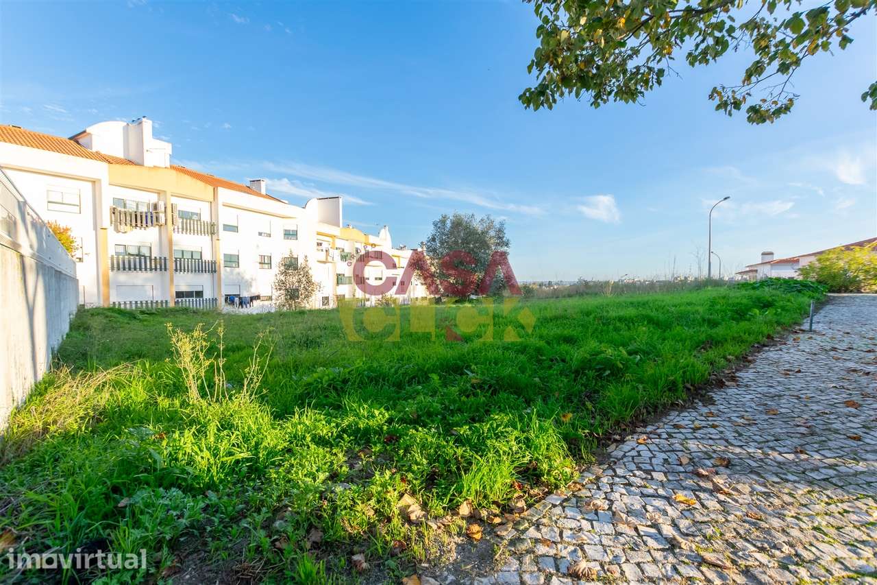 Lote de Terreno T3 Venda em Torres Novas (São Pedro), Lapas e Ribeira - Grande imagem: 3/21