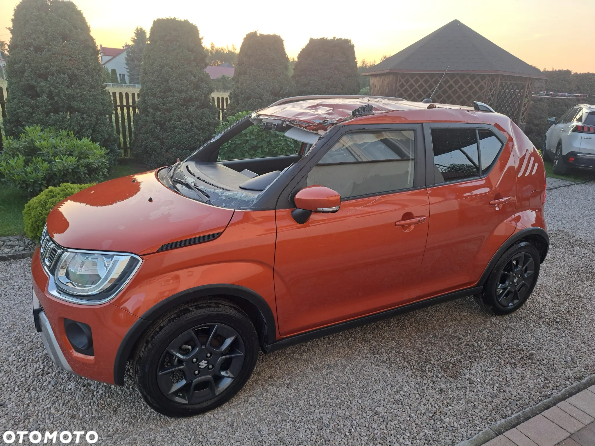 Suzuki Ignis - 5