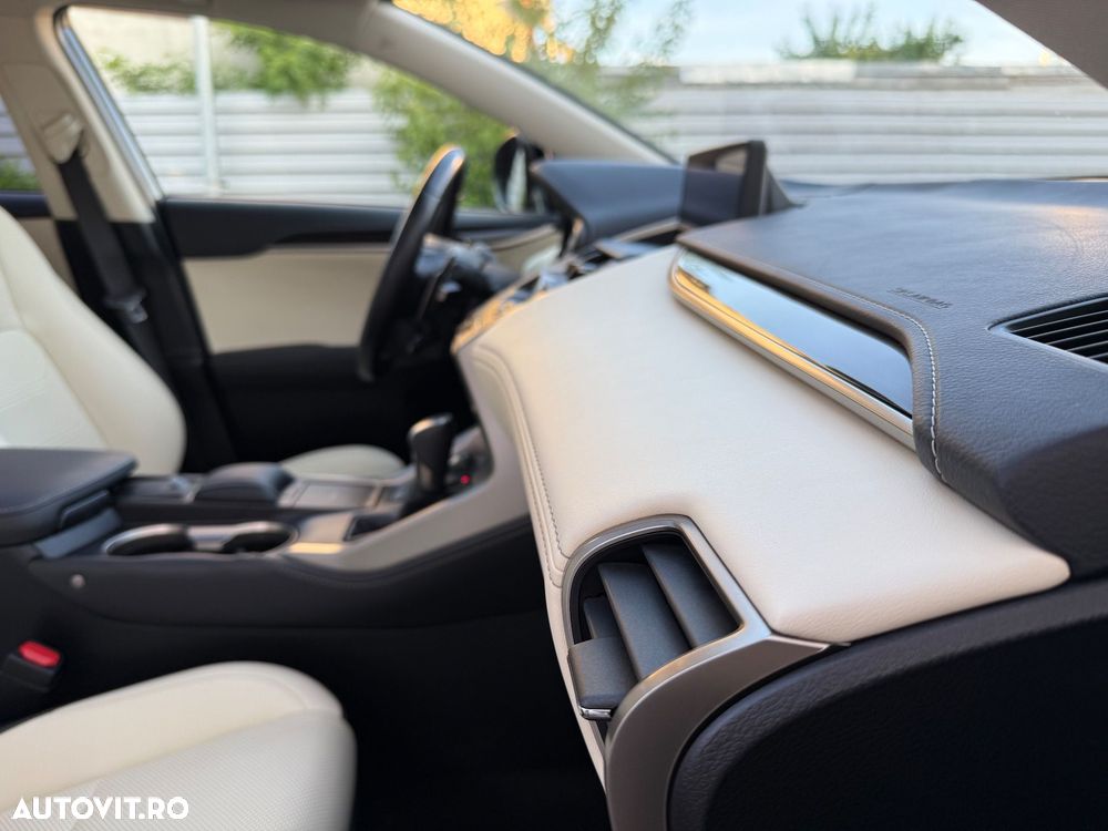 LEXUS NX 2019 — imagine 9