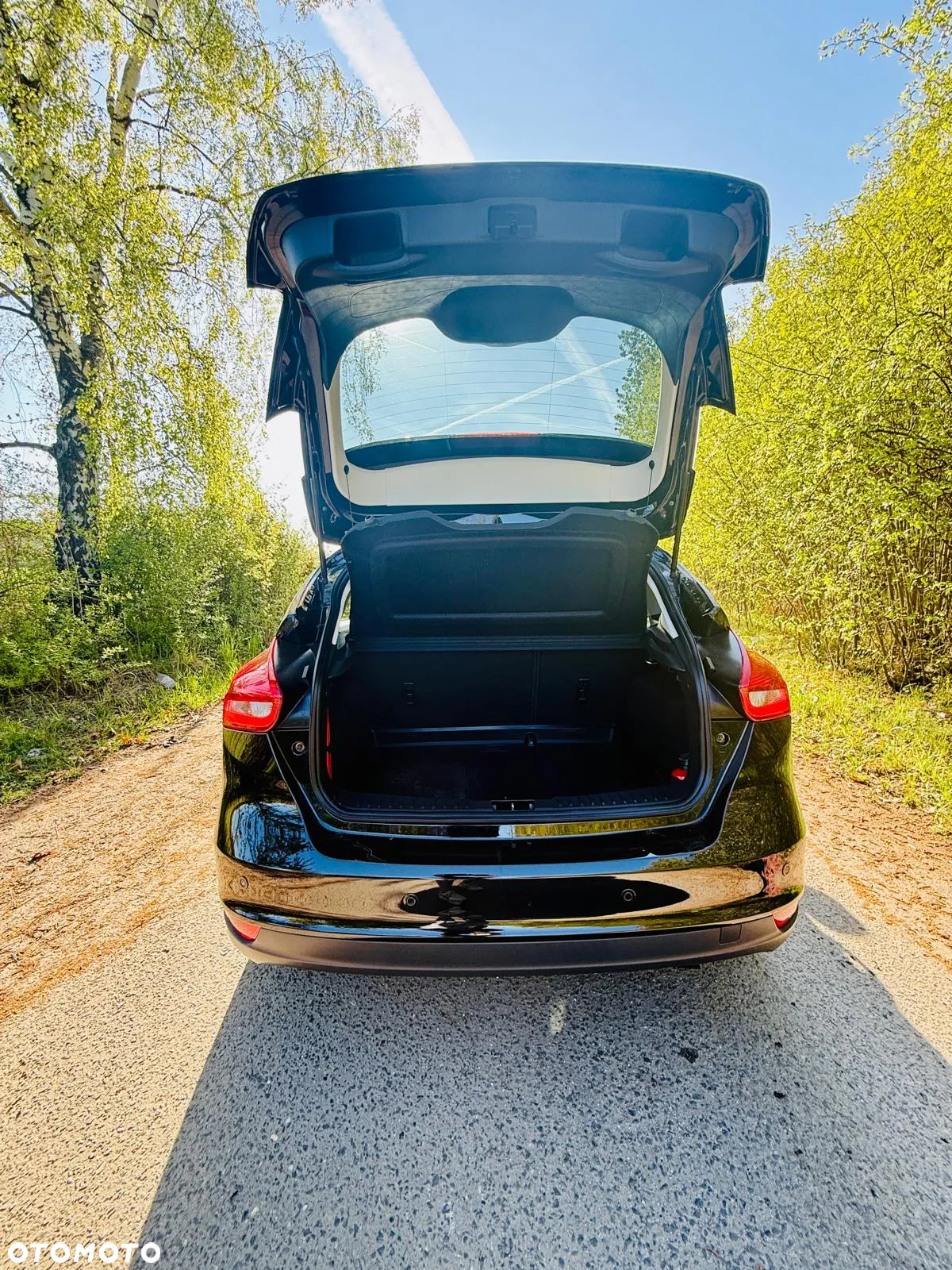 Ford Focus 1.6 SYNC Edition - 6