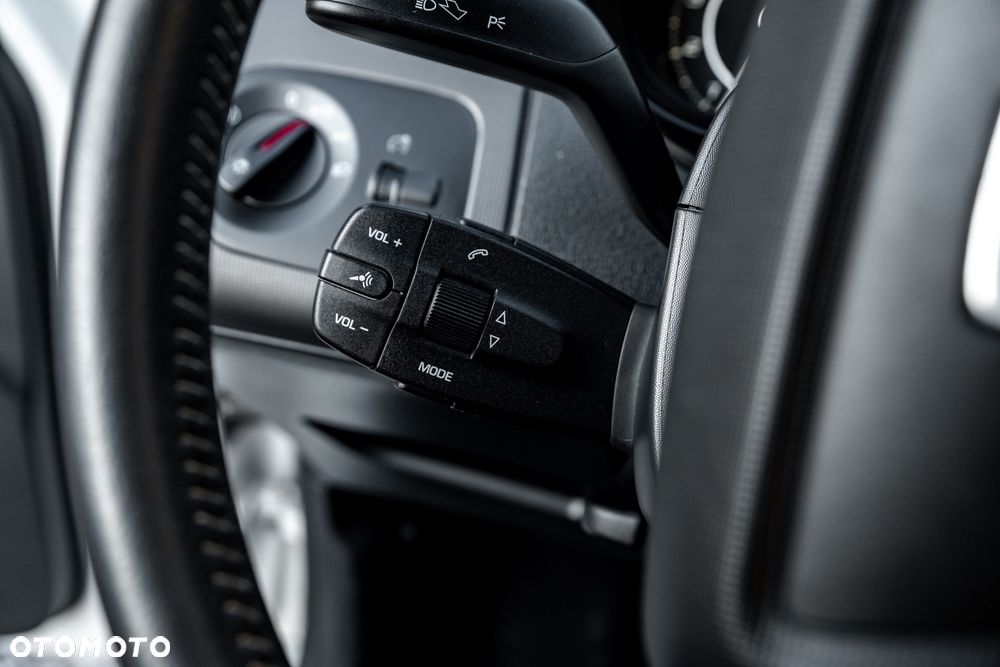 Seat Ibiza - 29