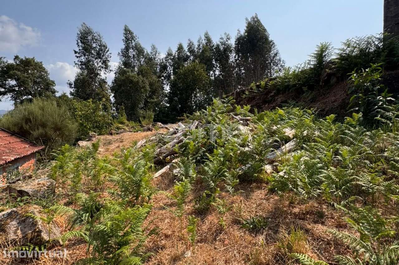 Terreno Urbanizável em Reigoso - Grande imagem: 3/19