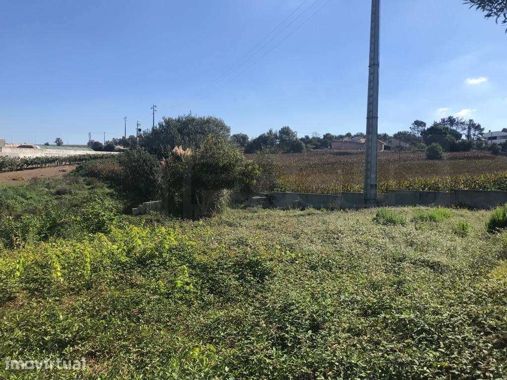 Terreno para construção em altura - Angeja - centro - Grande imagem: 2/7