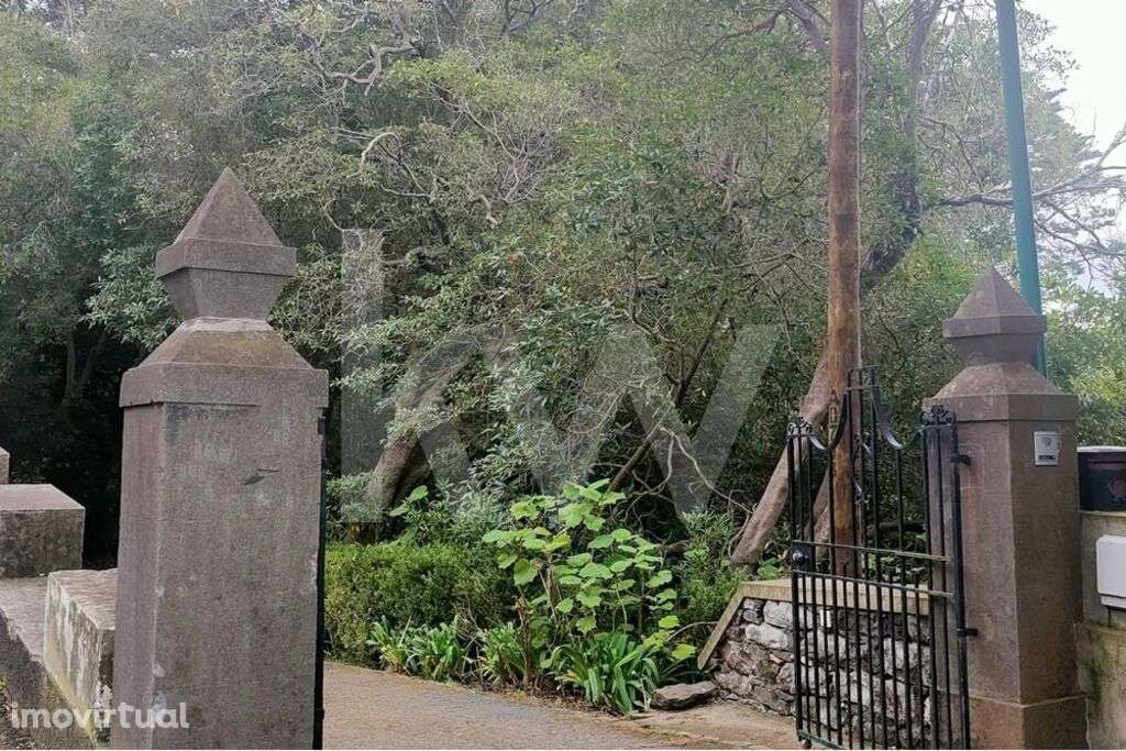 Fabulosa  e Única Quinta no Monte com cerca de  50.000M2 de terreno - Grande imagem: 5/32