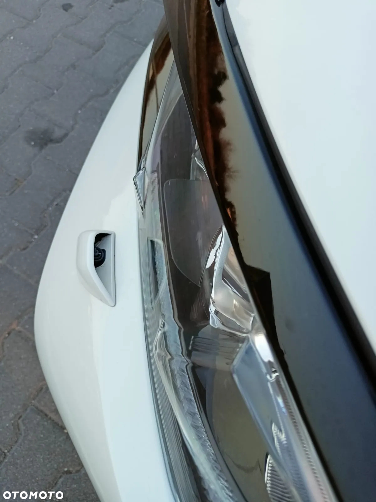 Honda Civic 1.0 i-VTEC Turbo CVT Dynamic Limited Edition - 5