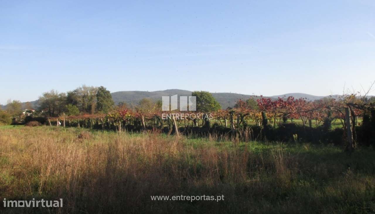 Venda de terreno agrícola, Barroselas, Viana do Castelo - Grande imagem: 3/4