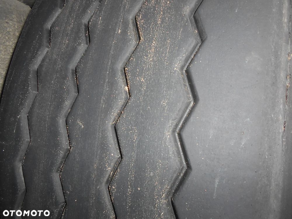 Schmitz Cargobull chłodnia standard - 11