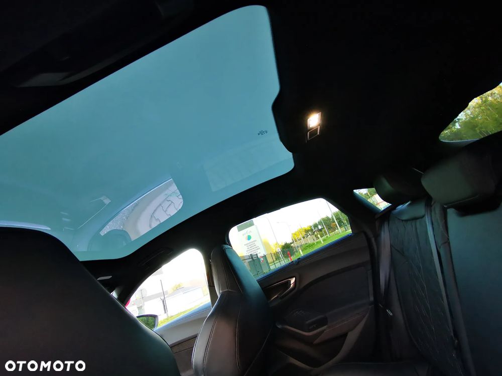 BMW Seria 5 - 30