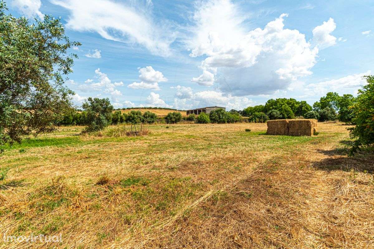 Terreno  para venda - Grande imagem: 2/44