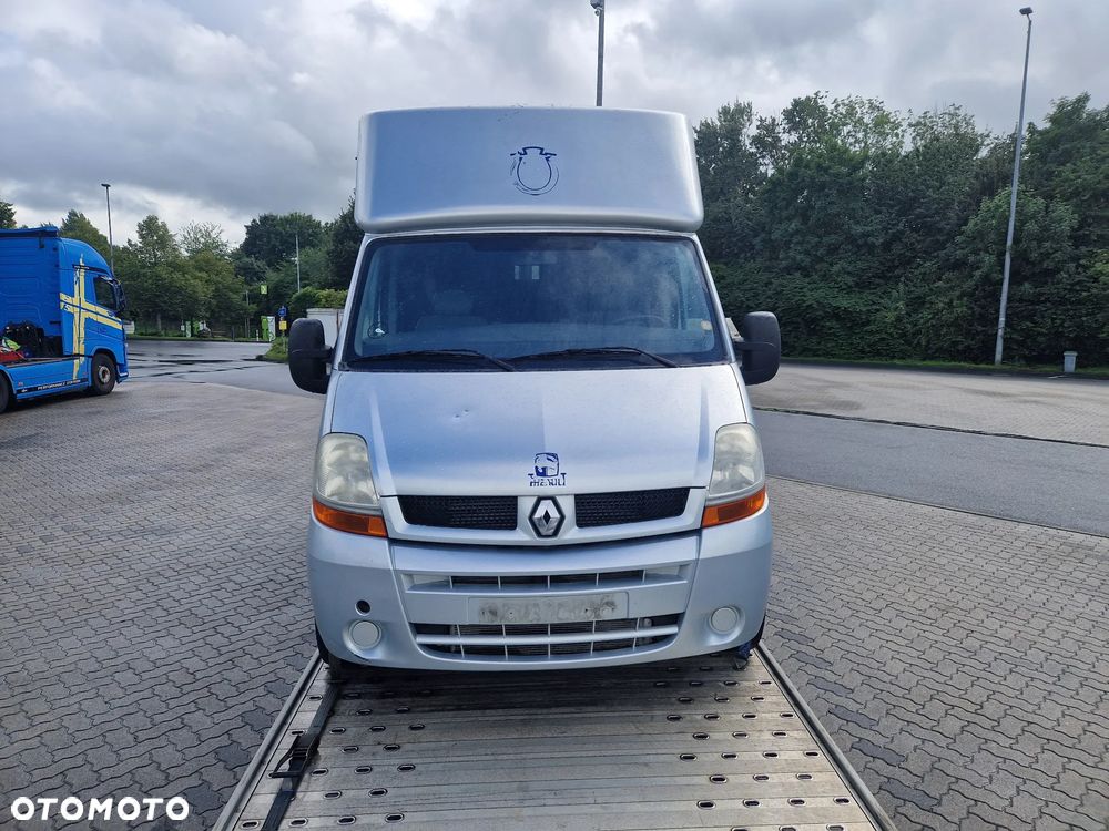 Renault Master Theault koniowóz - 30