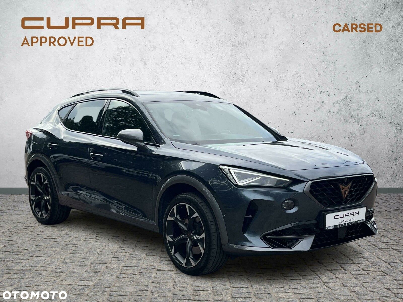Cupra Formentor 2.0 TSI 4Drive VZ DSG - 8