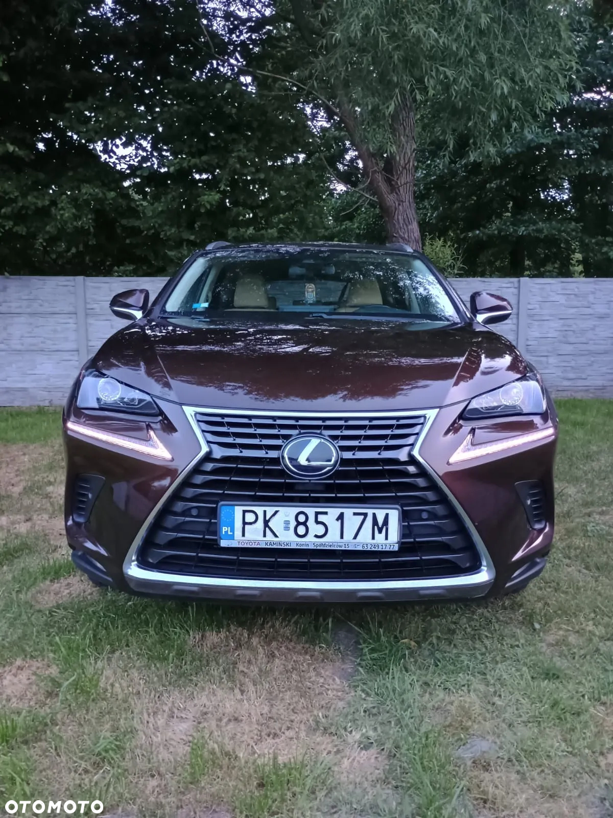 Lexus NX 300h Elegance AWD - 13