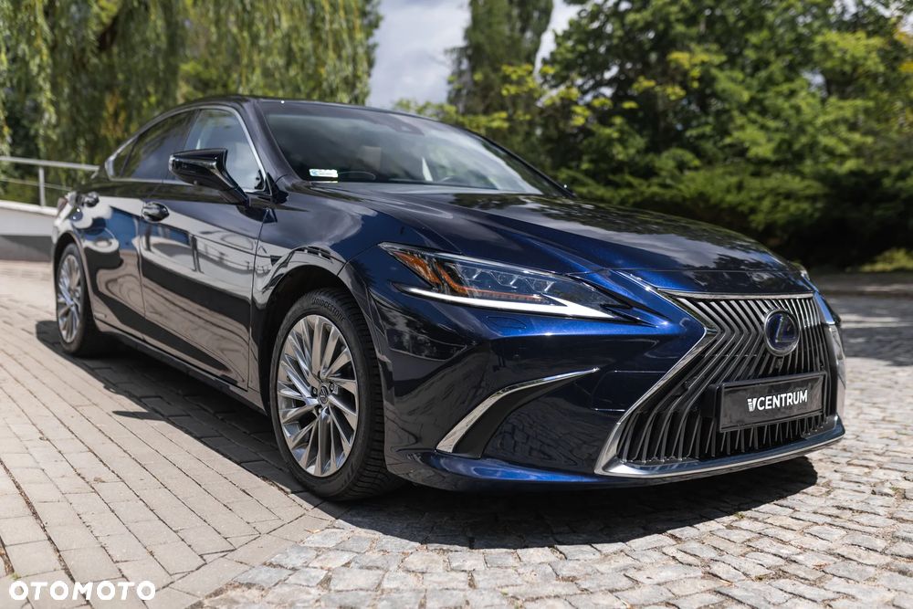 Lexus ES 300h Omotenashi - 8