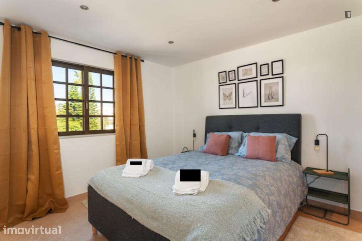Casa com 4 quartos - localizado em Lagoa - Grande imagem: 4/33