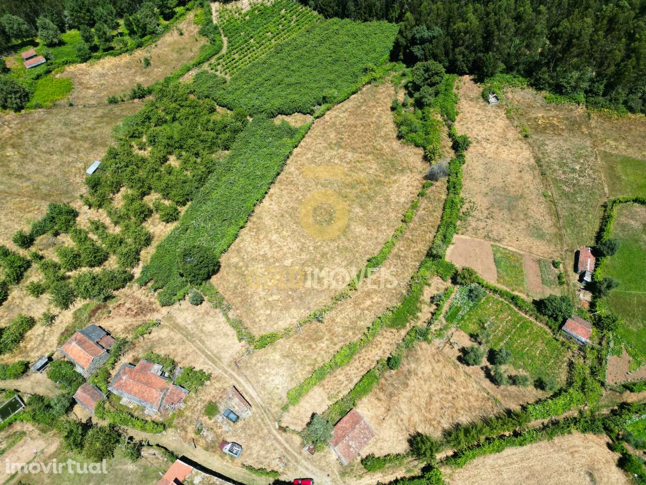 Quinta T4 Venda em Fornelos,Cinfães - Grande imagem: 4/16