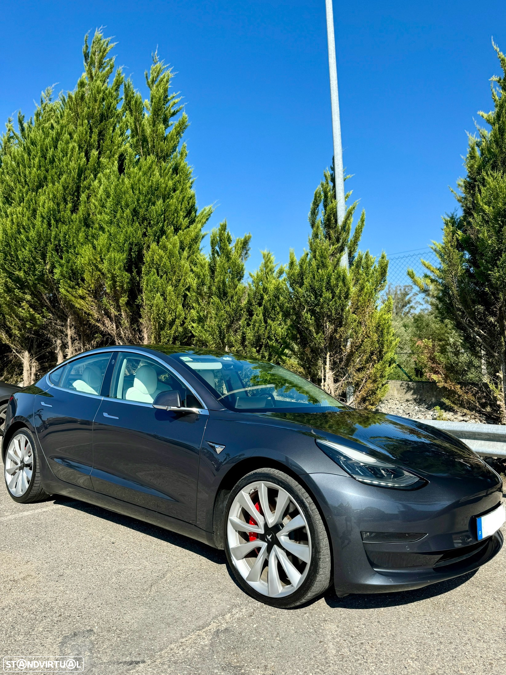 Tesla Model 3 Performance Dual Motor AWD - 2