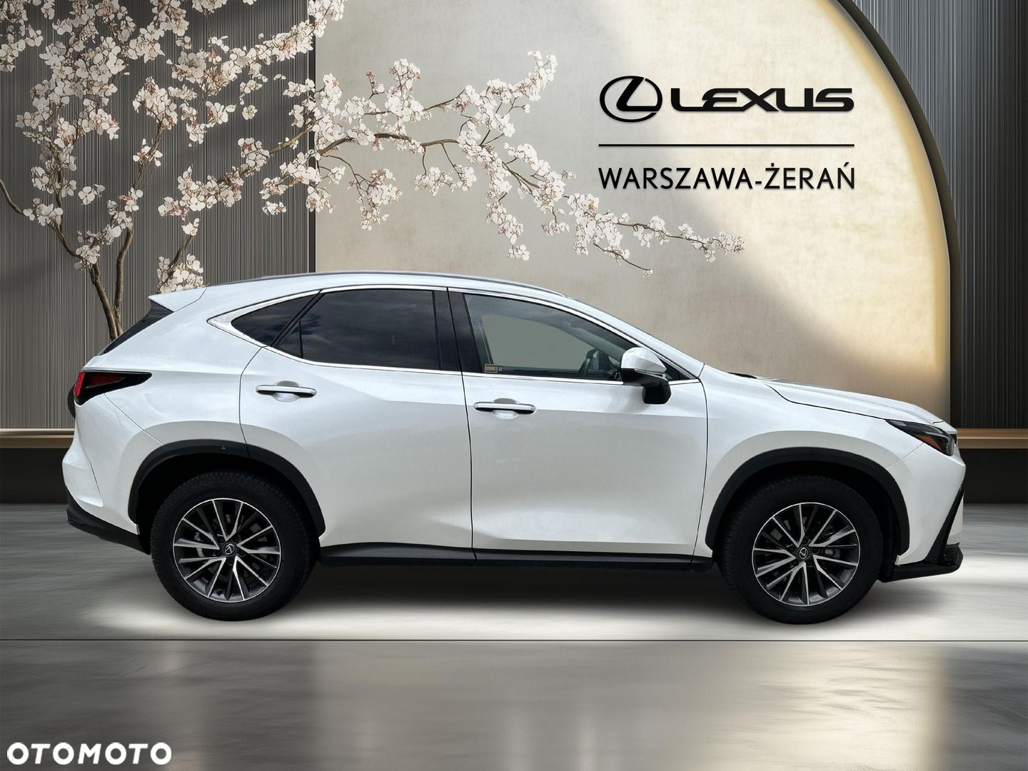 Lexus NX - 8