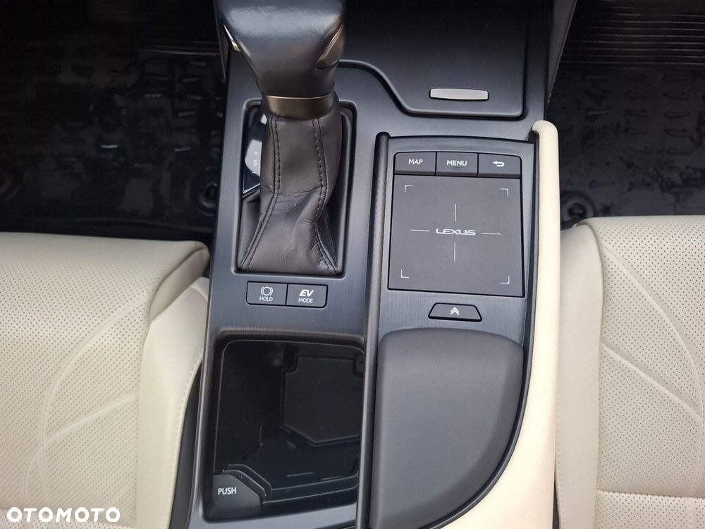 Lexus ES 300h Omotenashi - 33