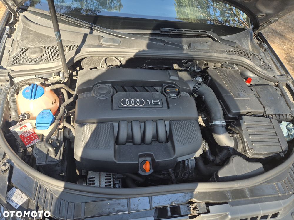 Audi A3 Cabrio 1.6 Attraction - 8