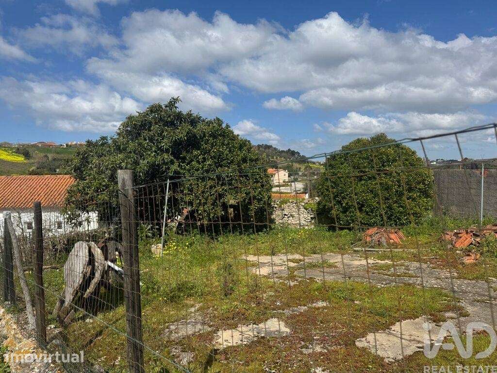 Casa de Campo em Aljubarrota de 46 m2 - Grande imagem: 3/16