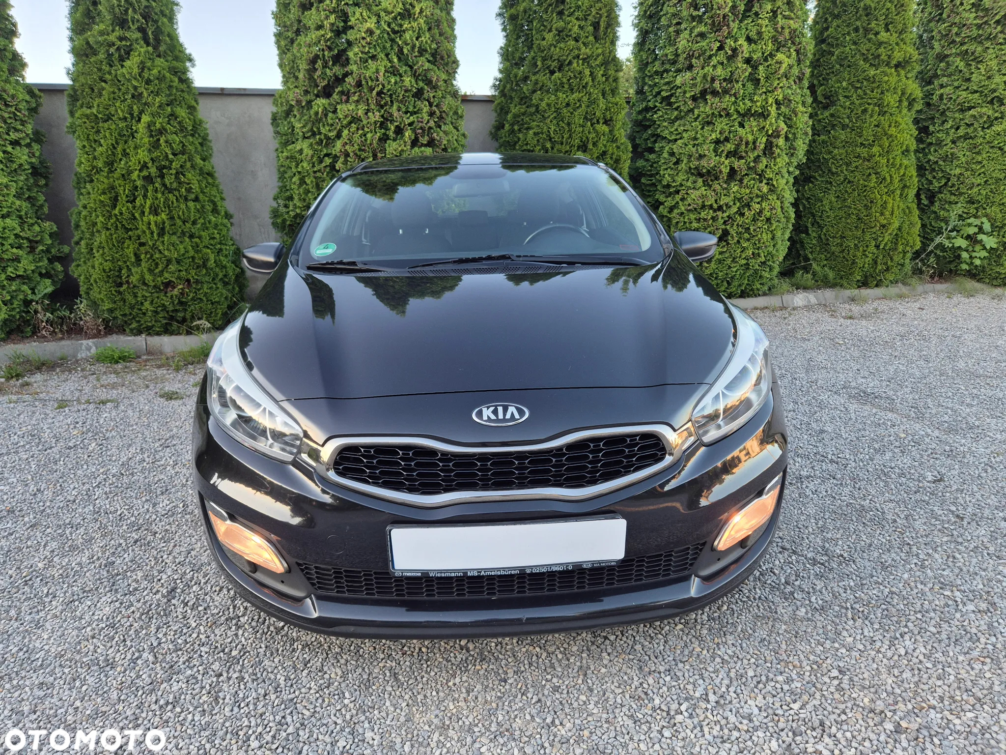 Kia ProCeed pro Ceed 1.6 GDI Edition 7 - 12