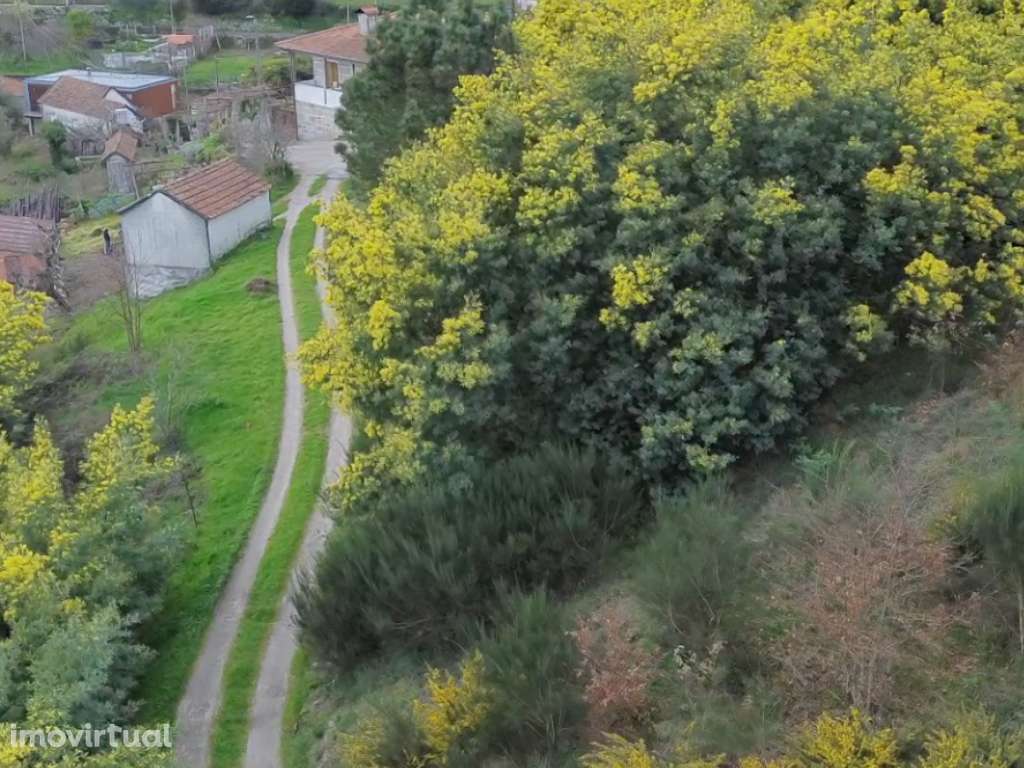 Terreno Rústico  Venda em Campelo e Ovil,Baião - Grande imagem: 4/4