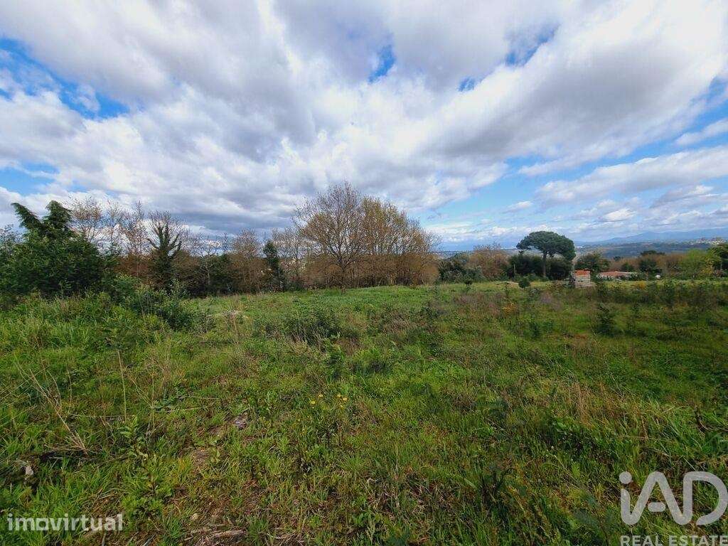 Terreno para construção em Santa Comba Dão e Couto do Mosteiro - Grande imagem: 3/8
