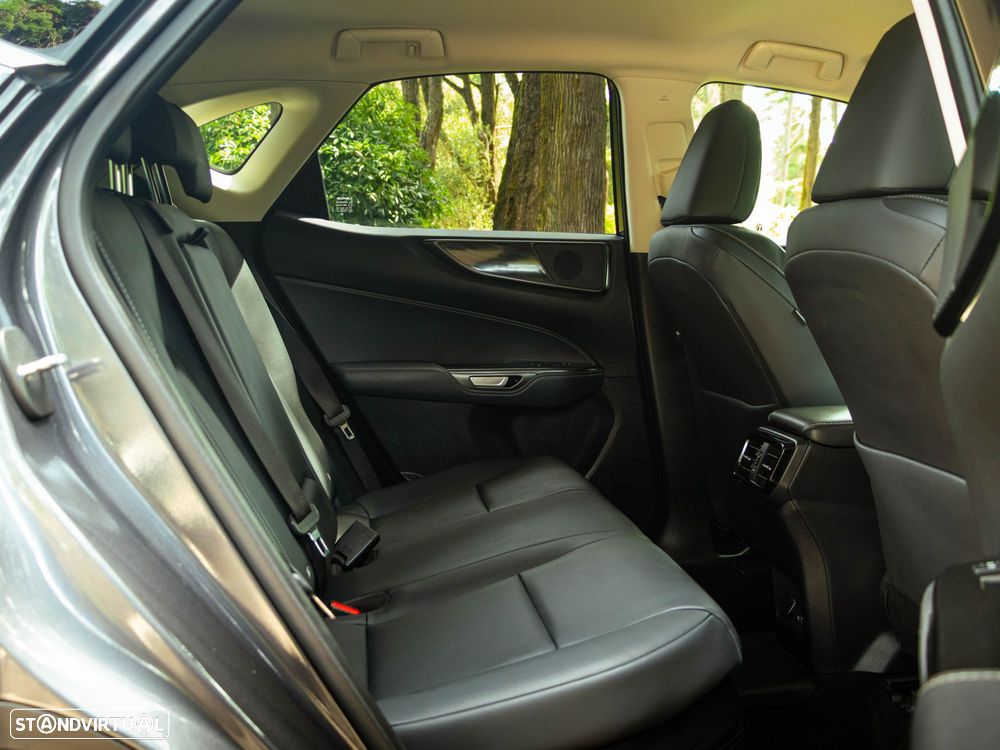 Lexus NX 450h+ Executive - 15