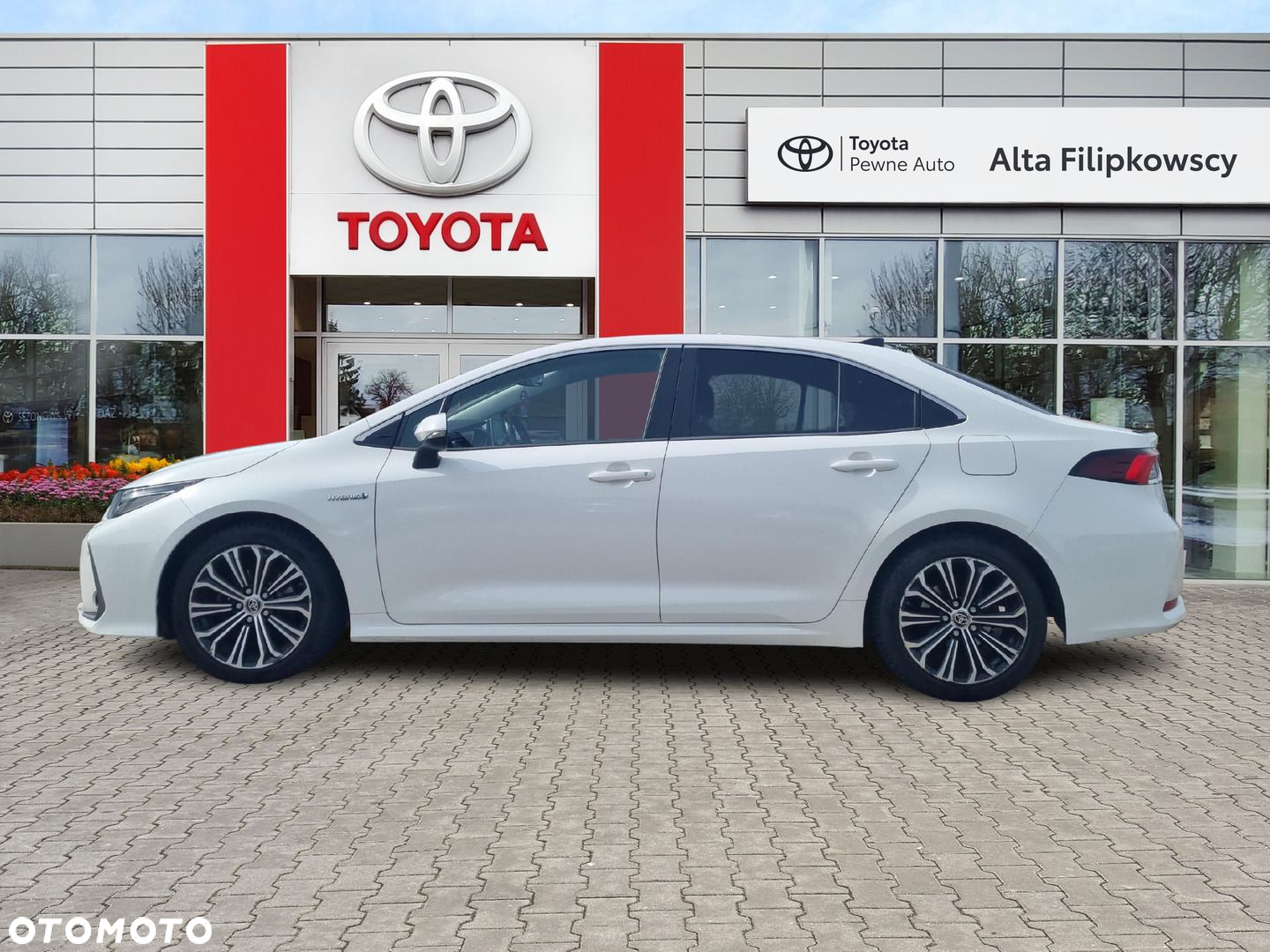 Toyota Corolla - 5