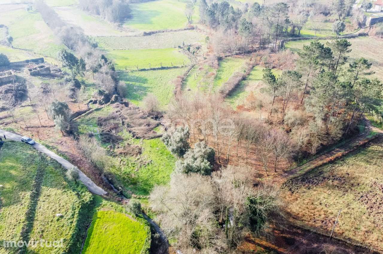 Terreno 9325 m², Ponte de Lima - Grande imagem: 5/18