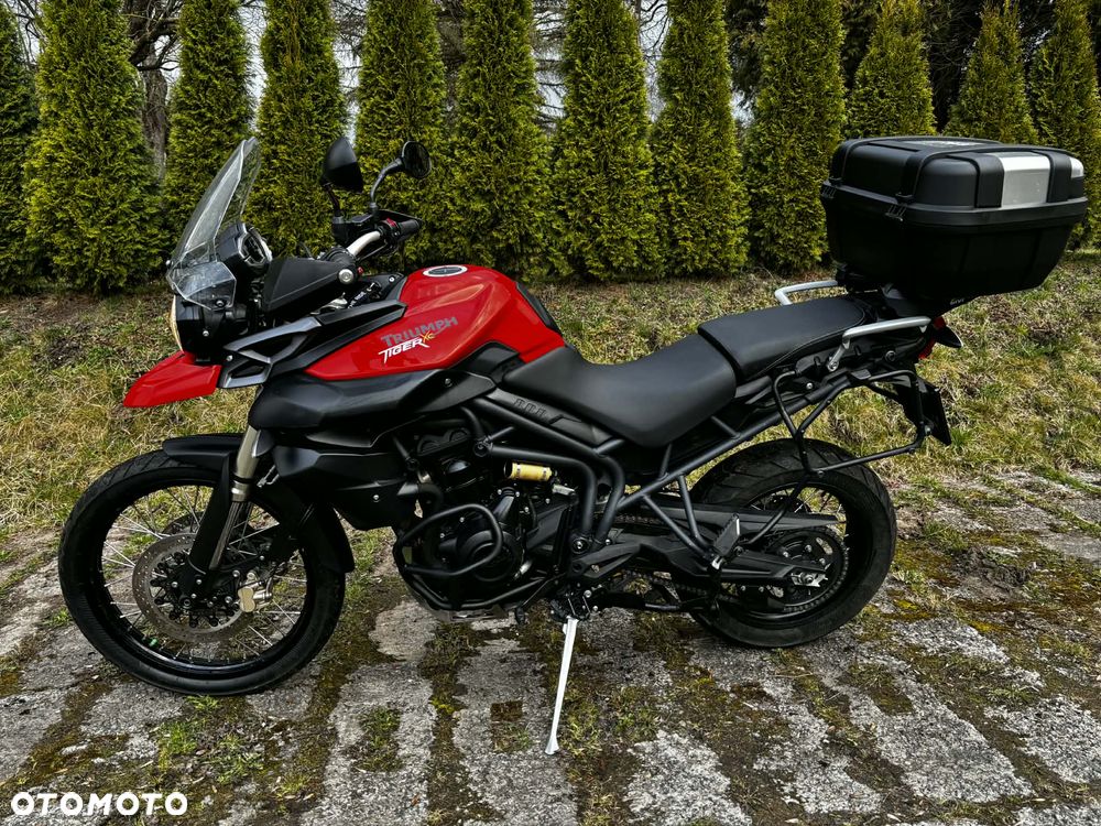 Triumph Tiger - 3