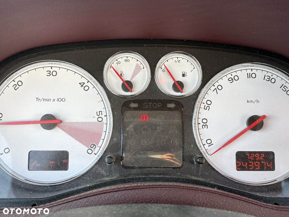 Peugeot 307 - 7
