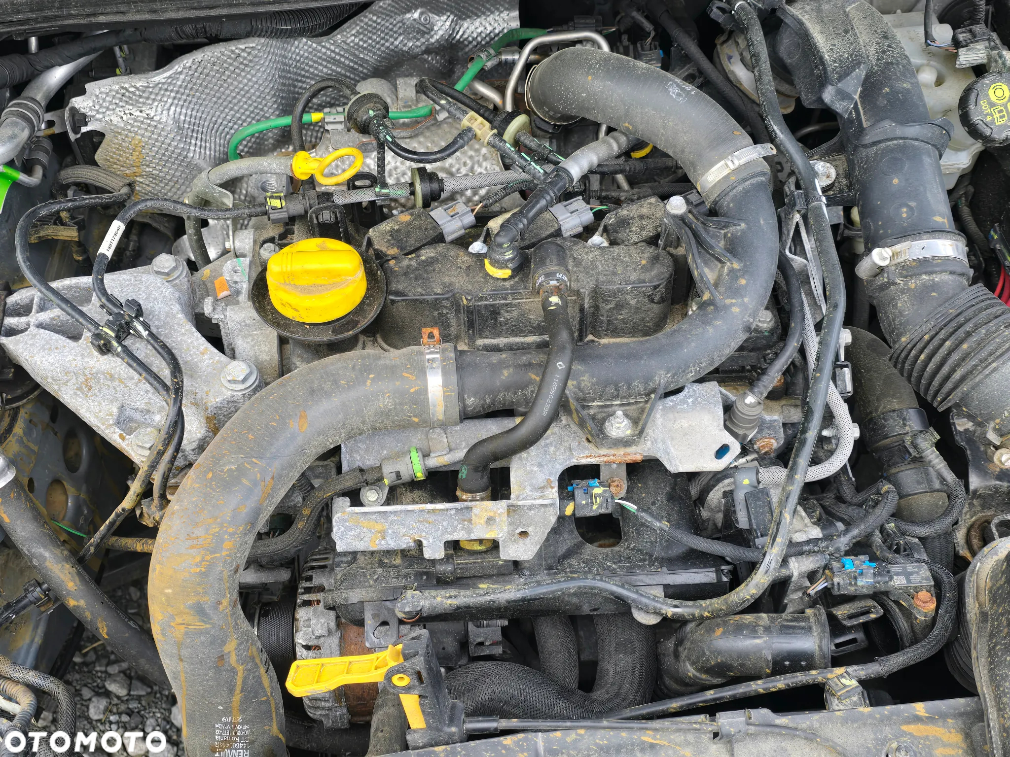 Renault Clio TCe 100 BUSINESS EDITION - 12