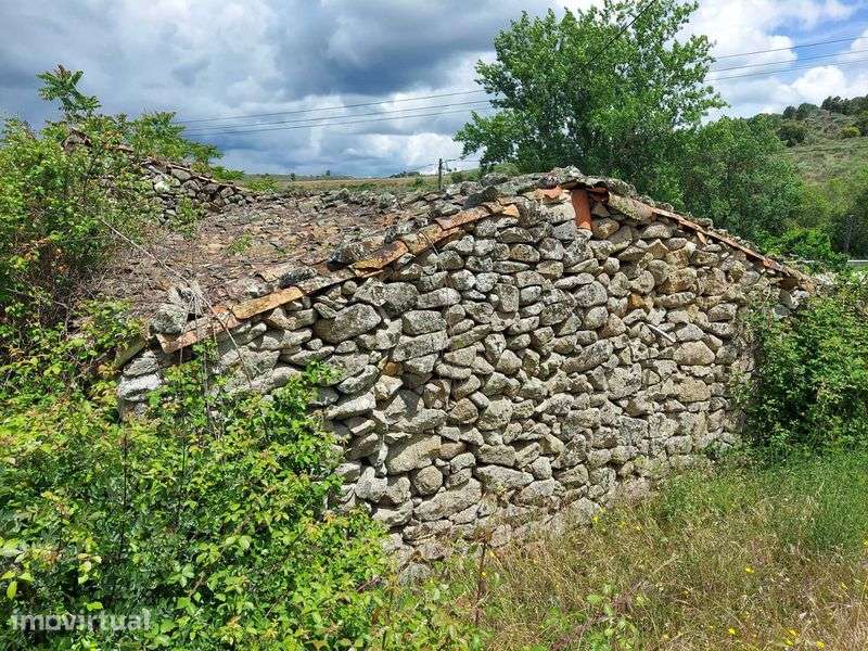 Casa Rural em Quinta da Catraia - Longroiva - Mêda - Grande imagem: 3/12