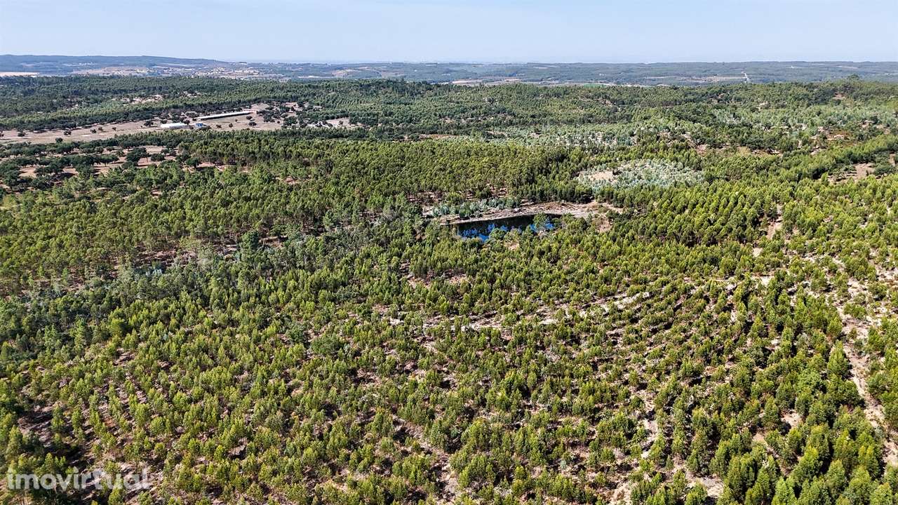 Herdade com total de  140 ha na freguesia da Raposa, Almeirim - Grande imagem: 5/35