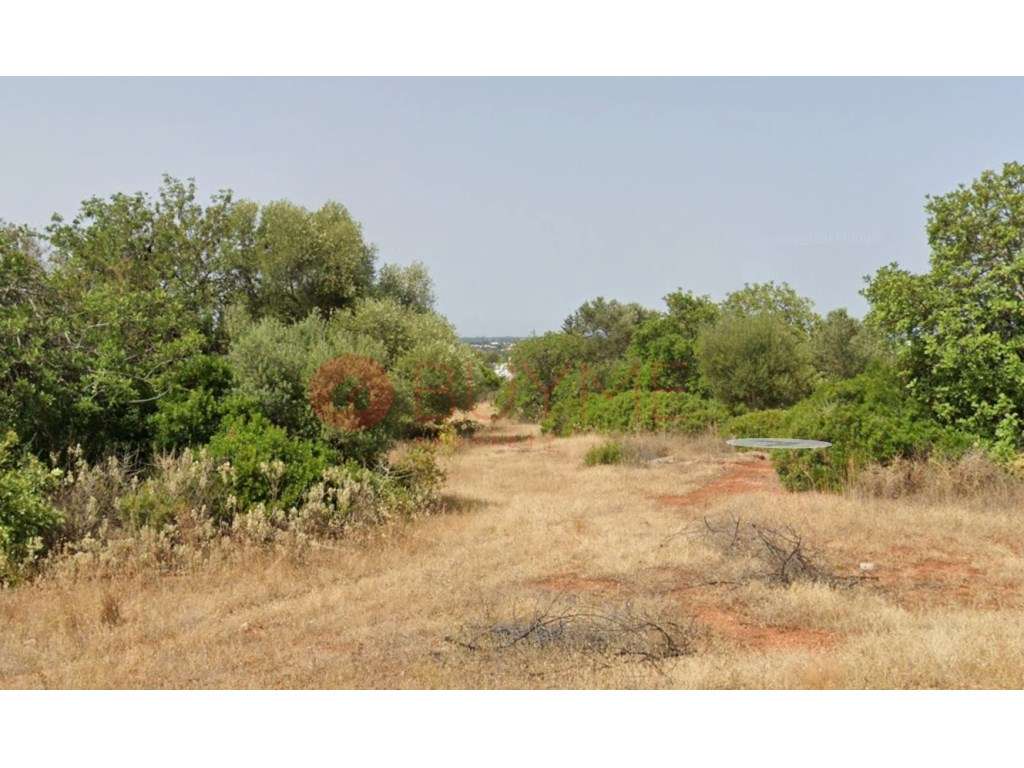 Terreno Amplo com Ruína em Santa Bárbara de Nexe - Grande imagem: 3/5
