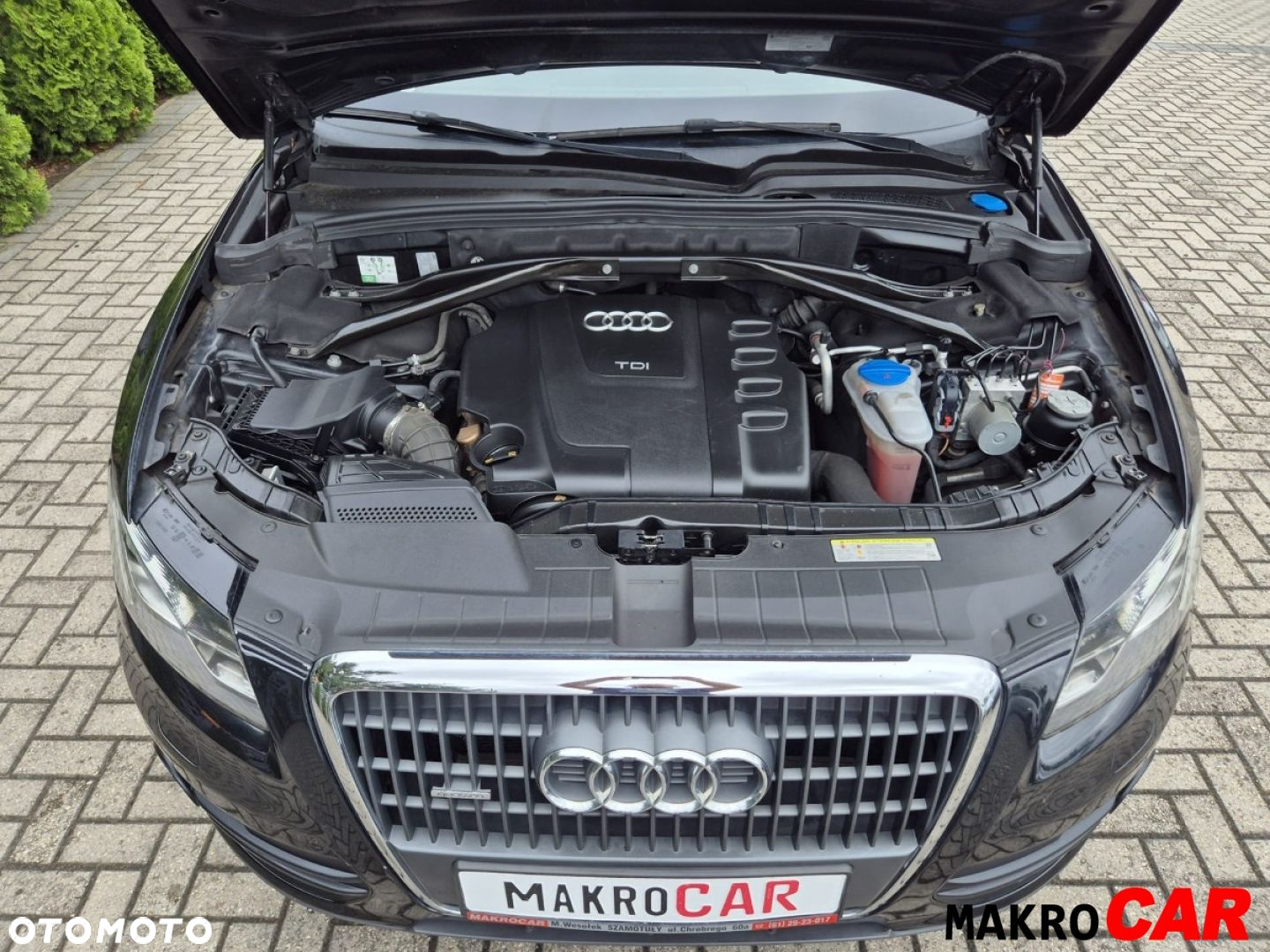 Audi Q5 - 18