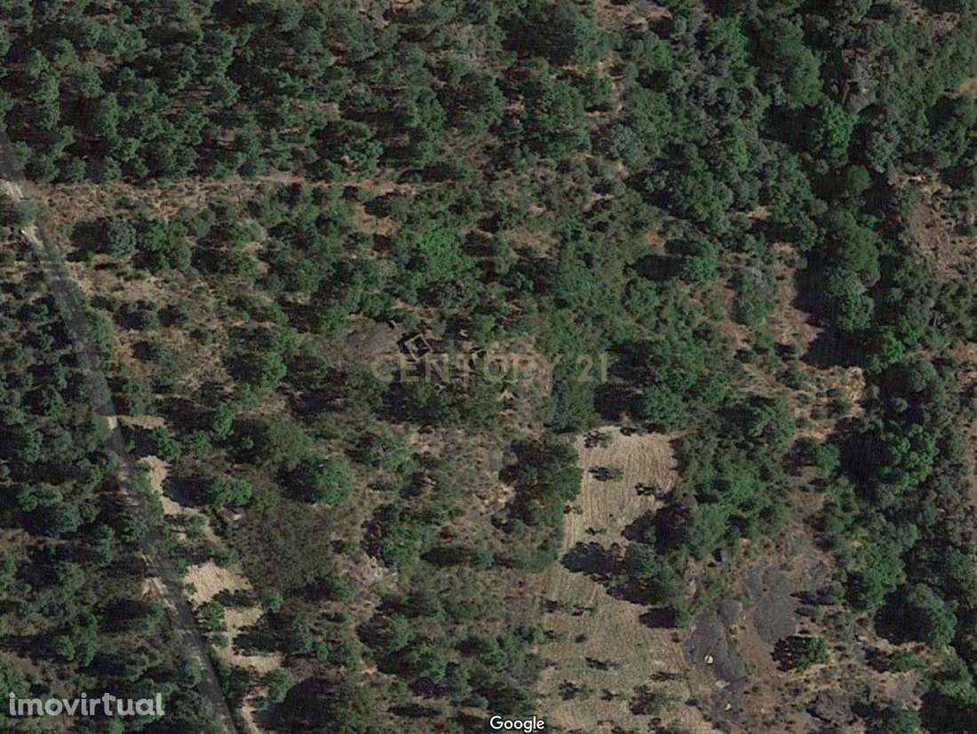 Terreno misto em Salgueiro do Campo, Castelo Branco - Grande imagem: 2/12