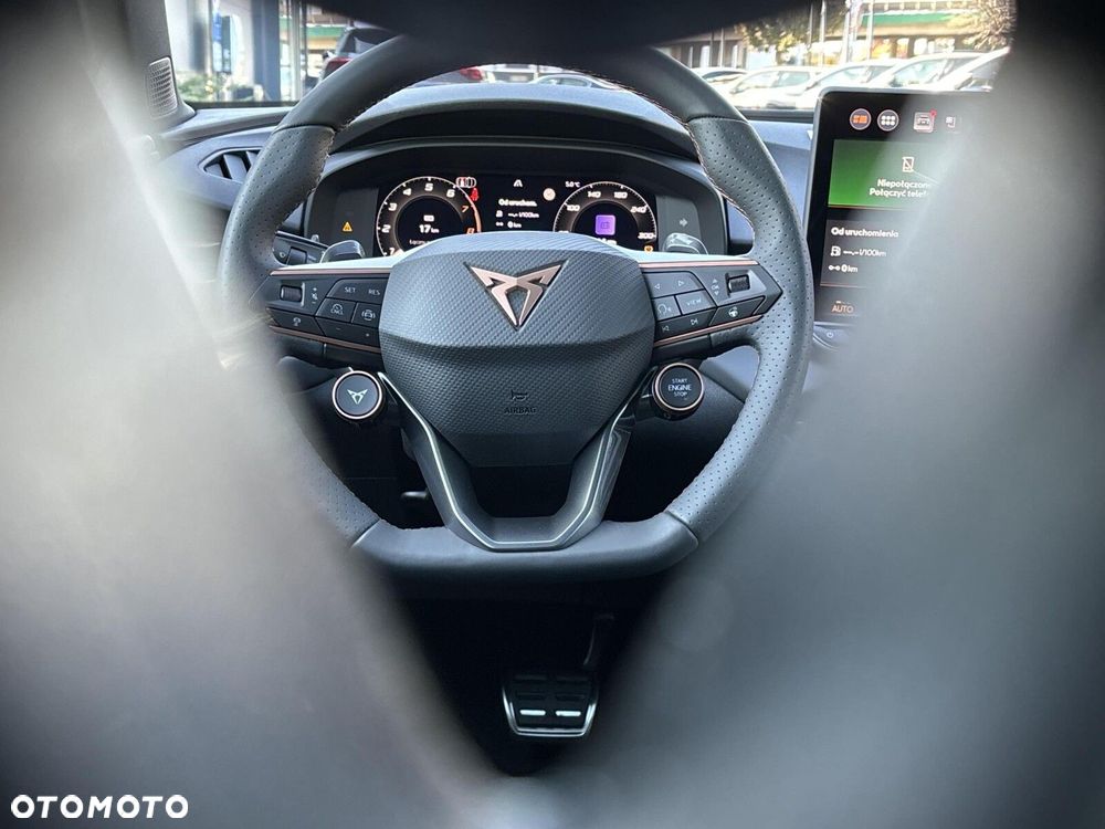 Cupra Terramar 2.0 TSI 4Drive DSG - 15