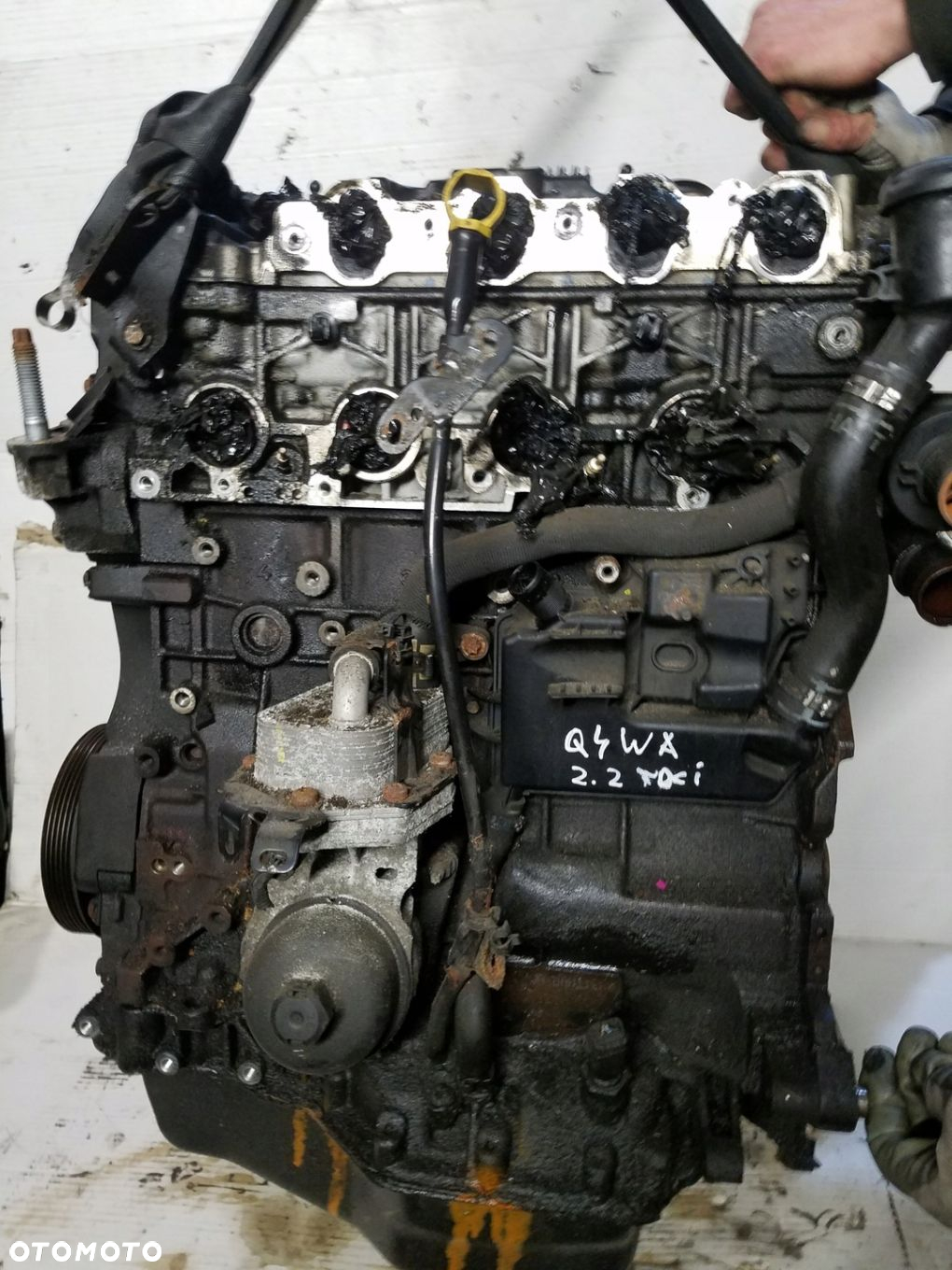 SILNIK 2.2 TDCI Q4WA FORD GALAXY MK2 180 TYS KM - 2