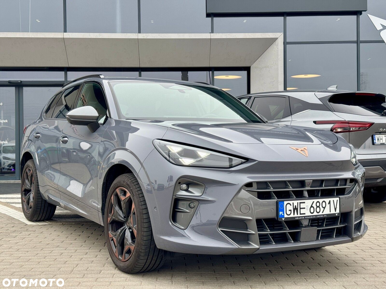 Cupra Terramar - 2