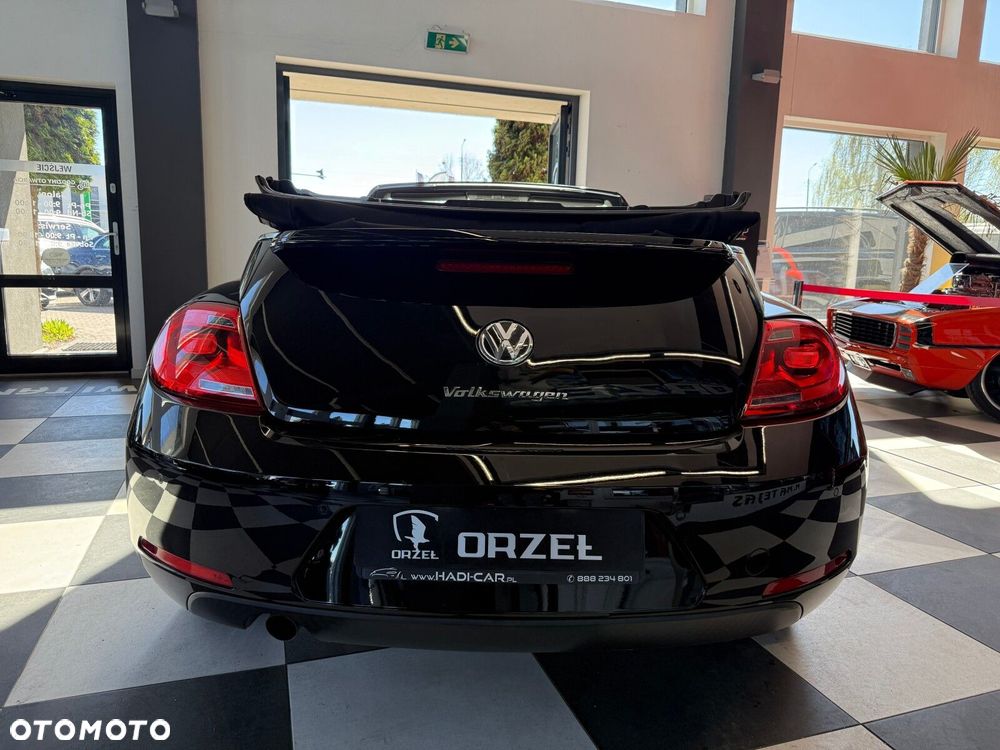 Volkswagen Beetle - 6