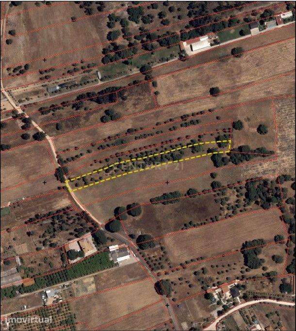 Terreno Rústico com 5.000 m2 - Quinta do Anjo, Palmela - Grande imagem: 2/13