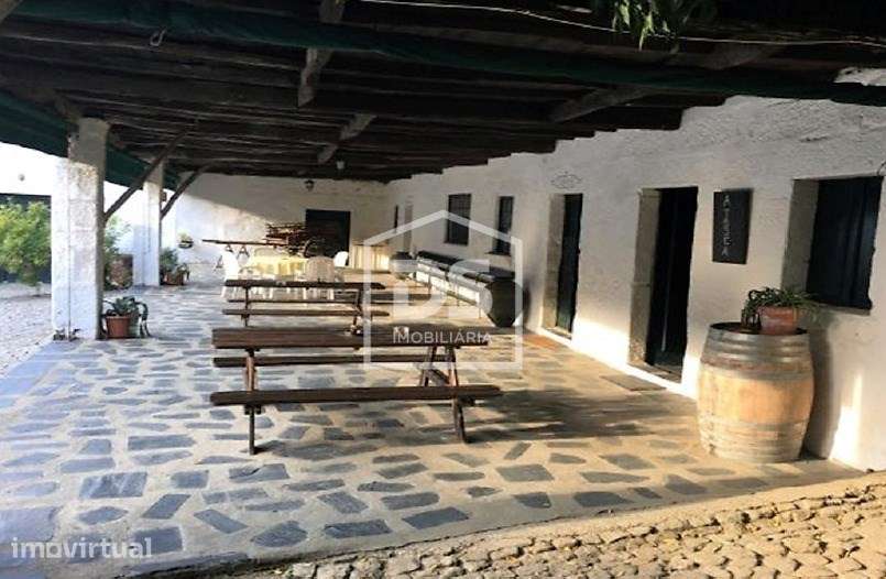 Douro Vinhateiro, Quinta Turística - Grande imagem: 3/57